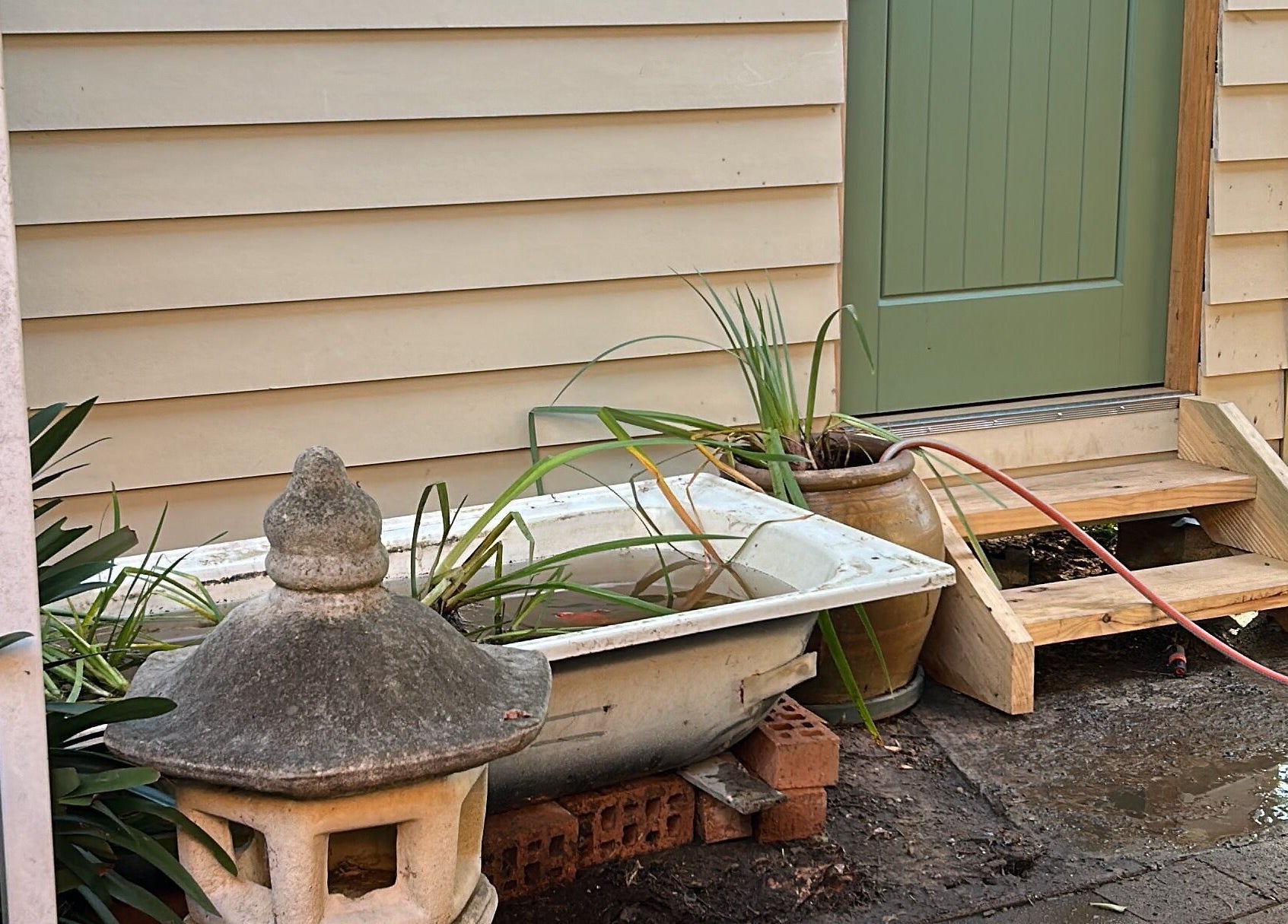Calm garden entrance at Absolute Health and Harmony in Berkeley Vale, New South Wales, AU, highlighting tranquility.