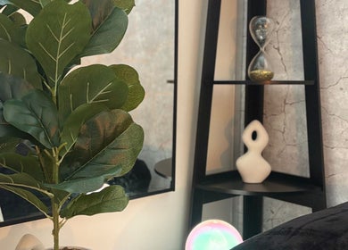 Elegant corner of The Allure Body Contouring in Adelaide, South Australia, AU, featuring a lush plant and decor.