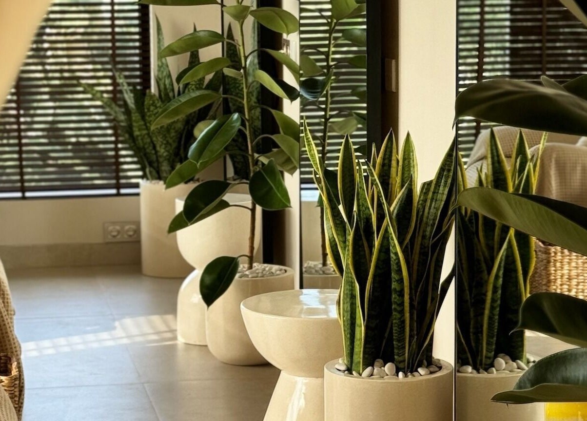 Lush green plants at Face Therapy Spa, Pererenan, Bali, Bali, ID create a tranquil, inviting atmosphere.