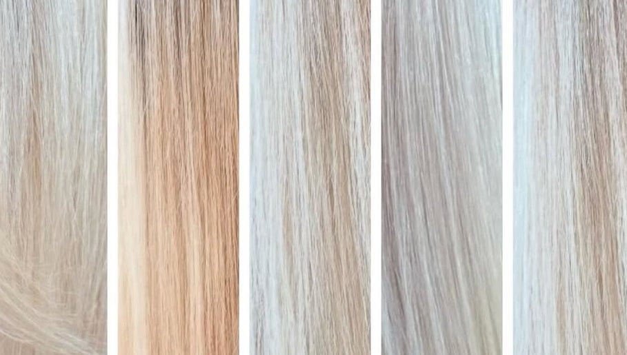 Vibrant blonde hair color samples at Angel Artistry & Co, Bicton, Western Australia, AU.
