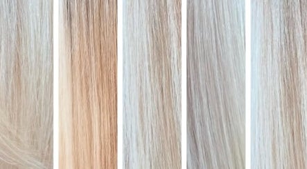 Vibrant blonde hair color samples at Angel Artistry & Co, Bicton, Western Australia, AU.