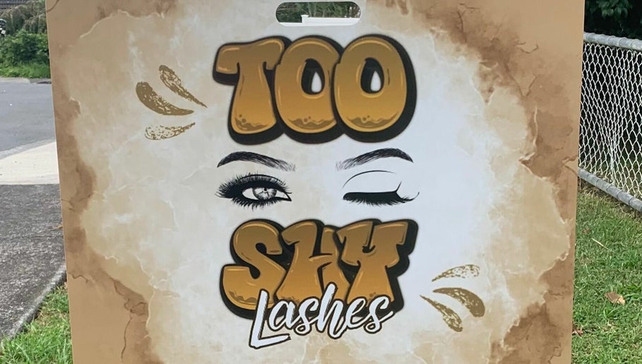 Too Shy Lashes image 1