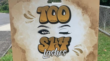 Too Shy Lashes