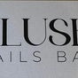 Blush Nails Bar - 5393 Crooks Road, Troy, Michigan