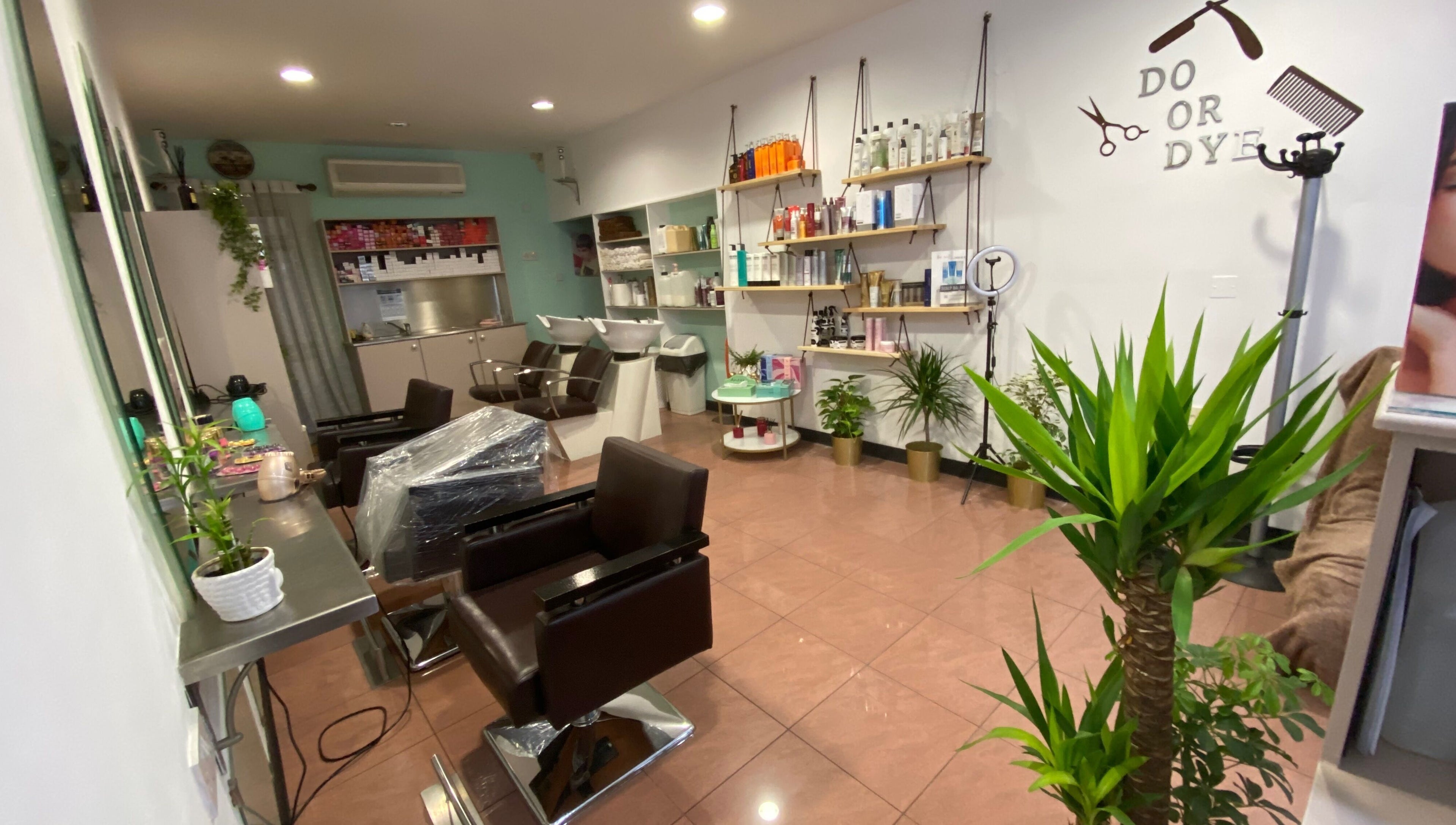 Elegant interior of Do or Dye by Aneeka in Birkirkara, MT, featuring modern styling chairs and greenery.