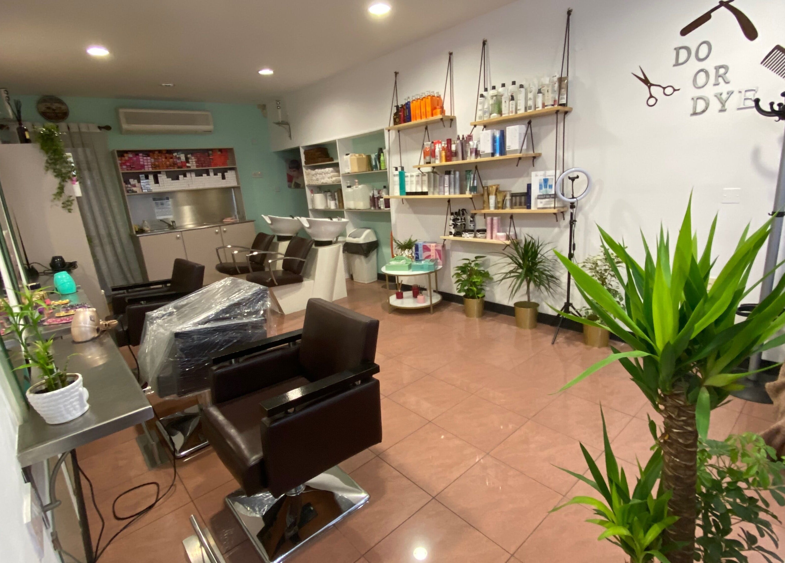 Elegant interior of Do or Dye by Aneeka in Birkirkara, MT, featuring modern styling chairs and greenery.