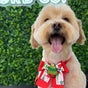 Westford Co. Dog Grooming - 962-964 Port Road, Albert Park, South Australia
