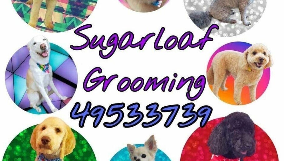 Sugarloaf Grooming Salon West Wallsend – obraz 1