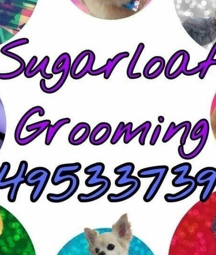 Sugarloaf Grooming Salon West Wallsend, bild 2
