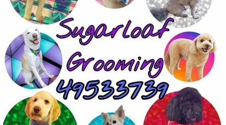 Sugarloaf Grooming Salon West Wallsend