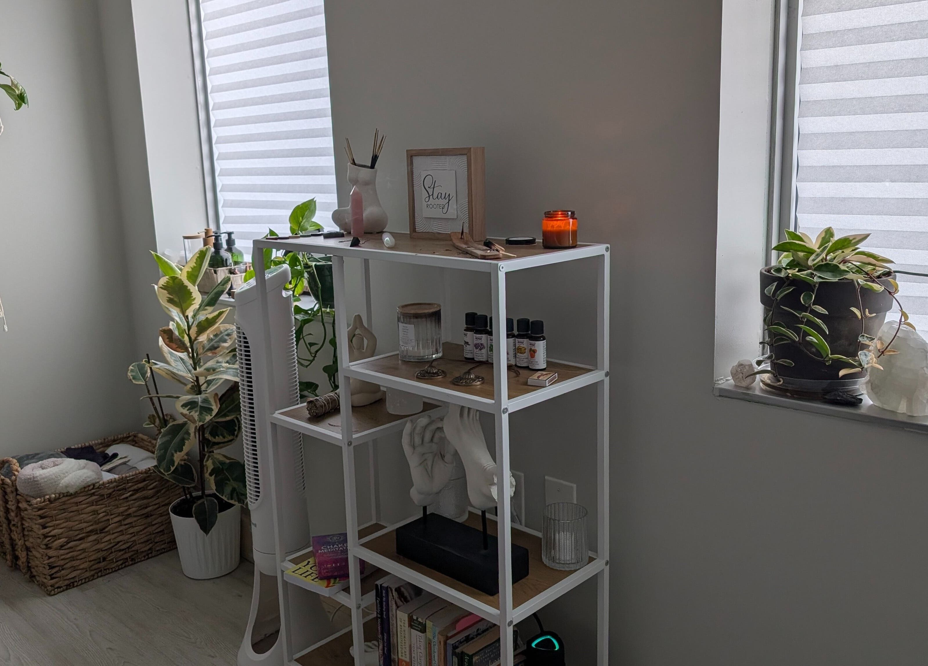 Calm interior of The Celestial Root in Belleville, Ontario, CA, showcasing plants and wellness items.