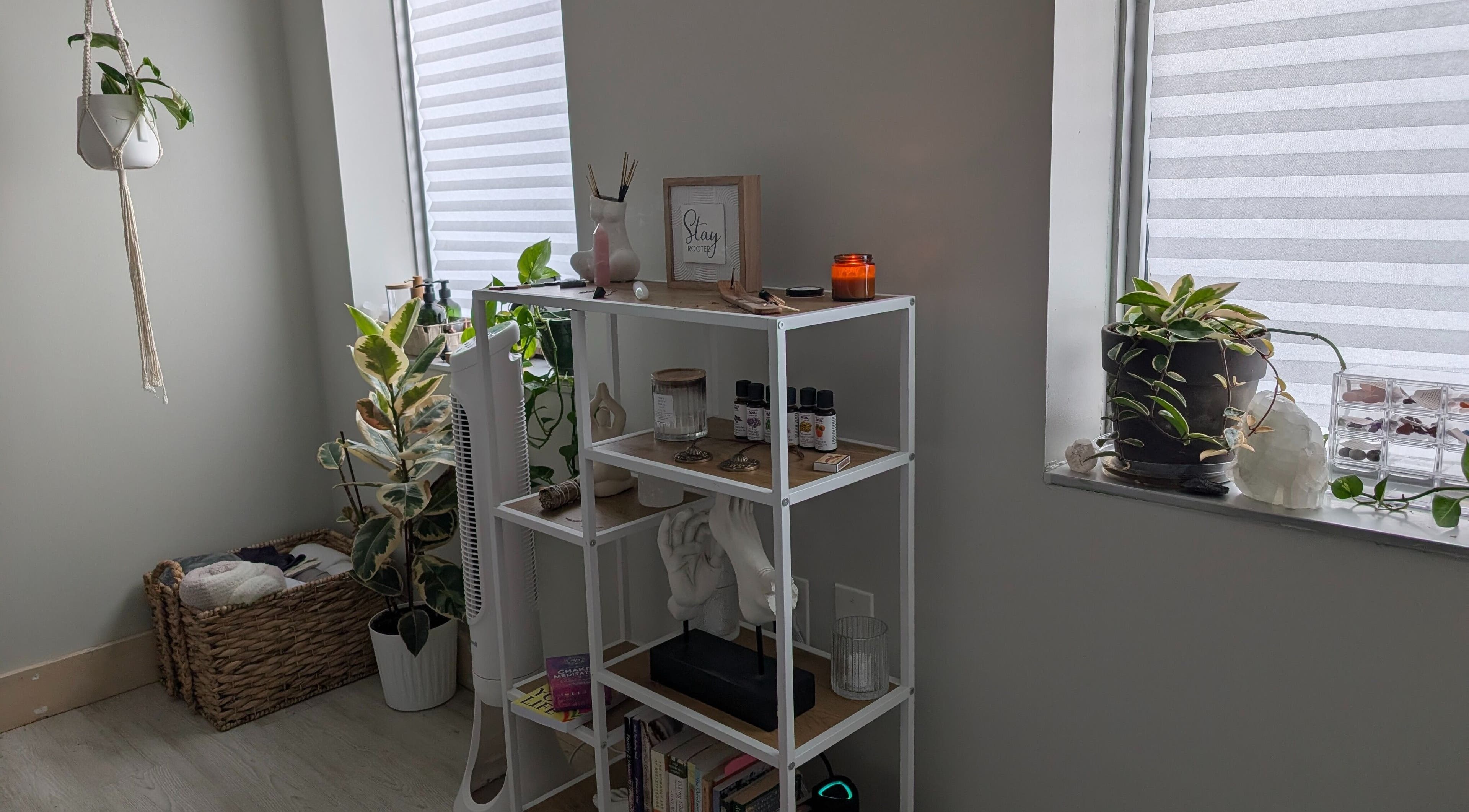 Calm interior of The Celestial Root in Belleville, Ontario, CA, showcasing plants and wellness items.