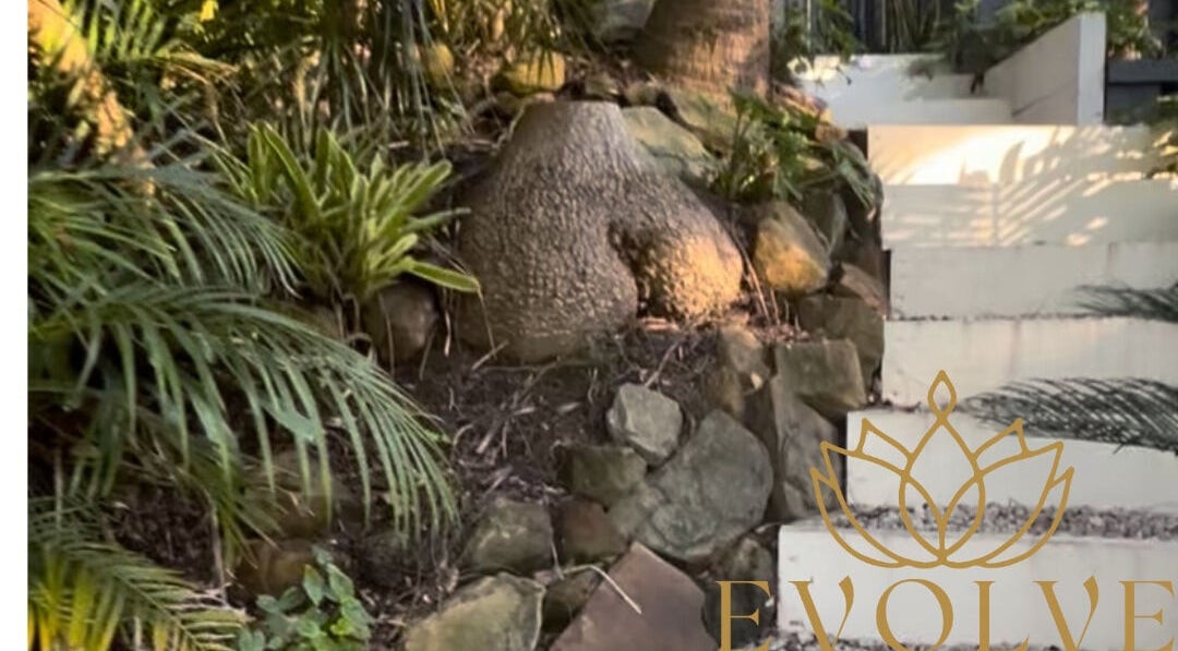 Lush greenery and stone pathways at Evolve Avalon, Avalon Beach, New South Wales, AU, create a tranquil ambiance.