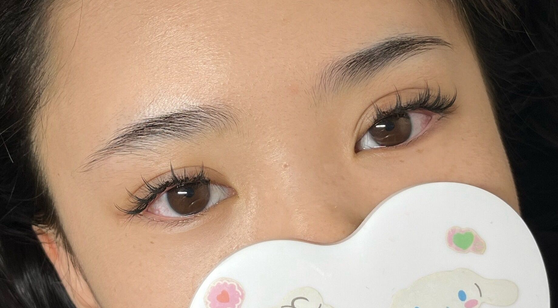 Close-up of lush eyelashes at BeautybyFran, Dublin, County Dublin, IE, showcasing expert beauty treatments.