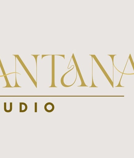 Santana Studio image 2