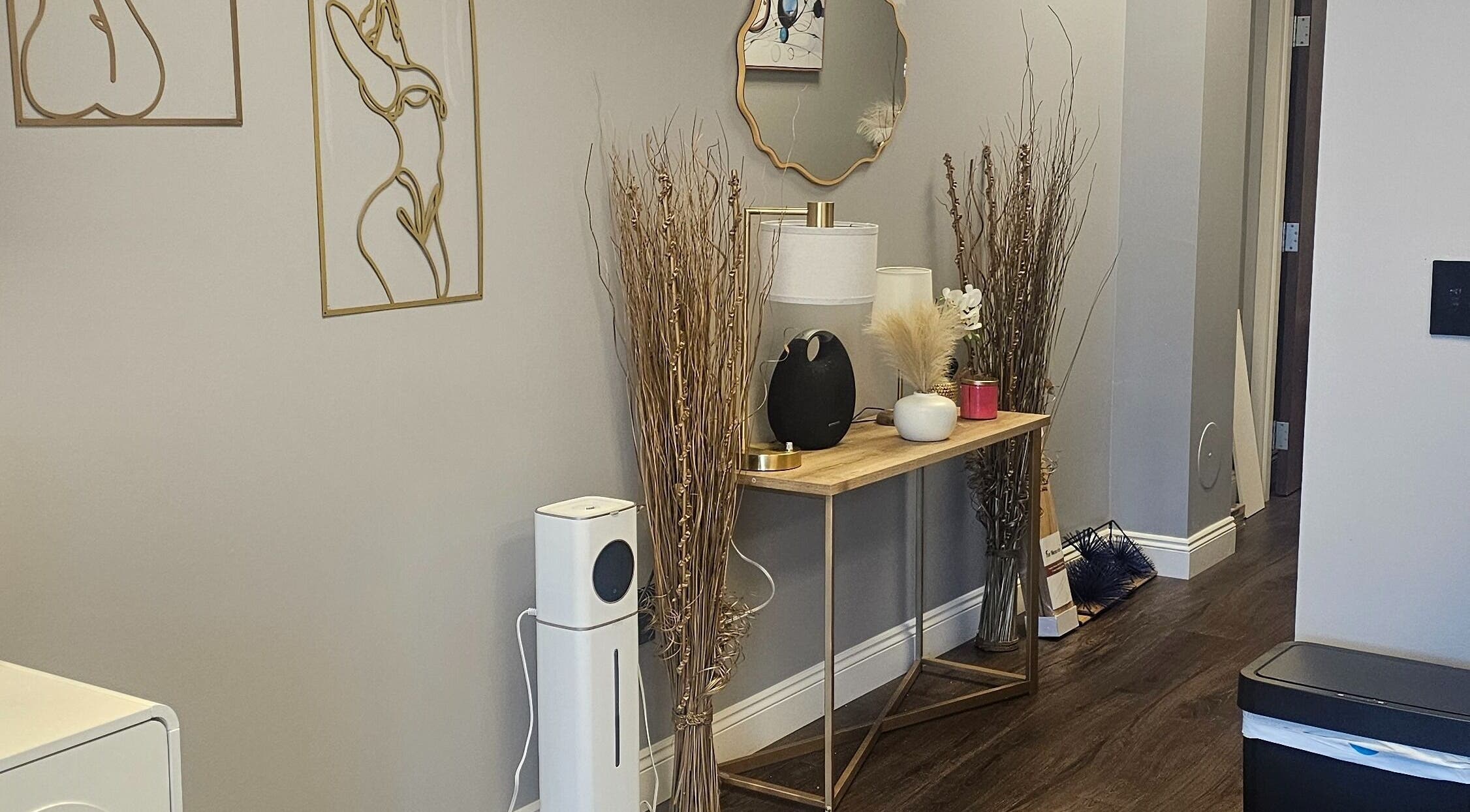 Elegant decor at Chizeled Contours Body Aesthetics in Twinsburg, Ohio, US, with chic wall art and stylish furnishings.