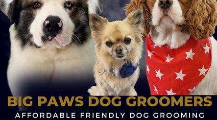 Big Paws Dog Groomers image 2
