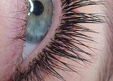 Close-up of eyelash extensions at Avc beauty(Castle Aesthetics), Colchester, England, GB.