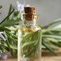 Body and Soul Holistic Wellbeing - 16 North Street, Mokau, Waikato