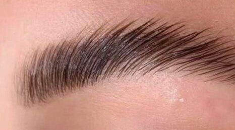 Perfectly groomed eyebrow at Hoho Lashes in Glenelg East, South Australia, AU for flawless beauty.