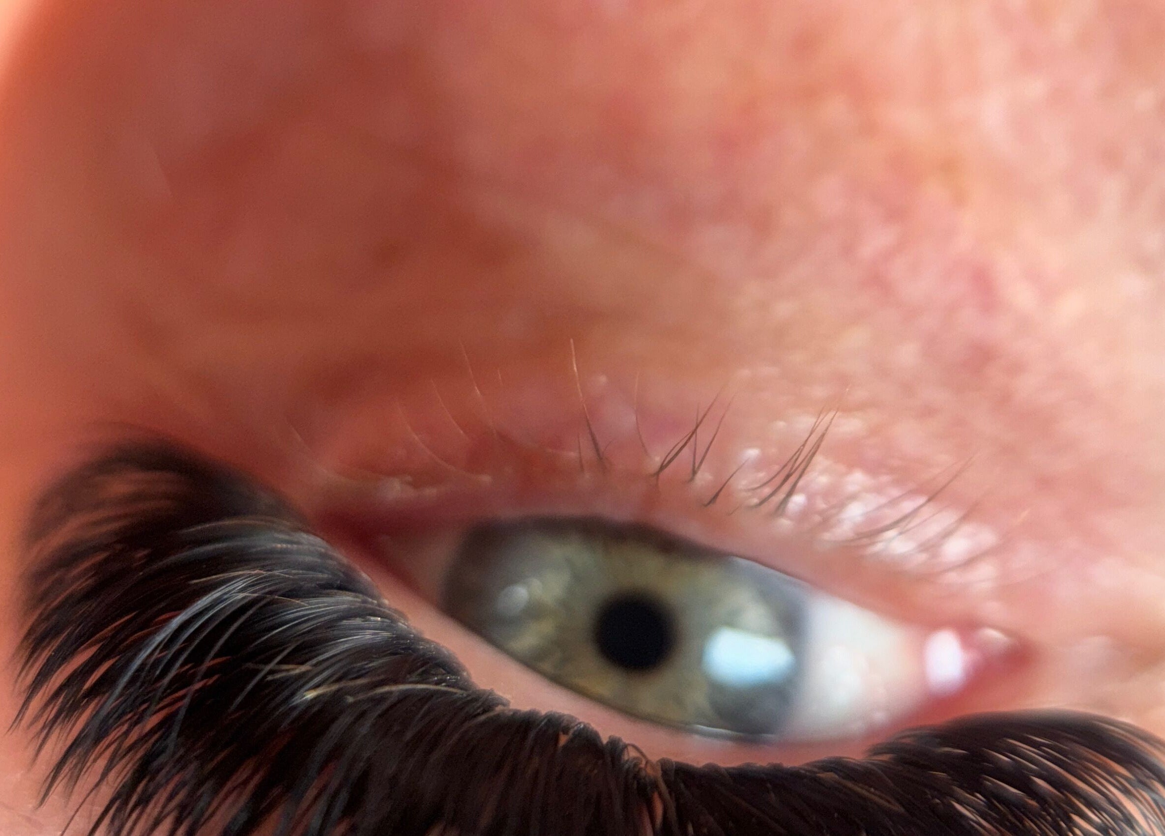 Close-up of eyelash extensions at Hoho Lashes, Glenelg East, South Australia, AU.