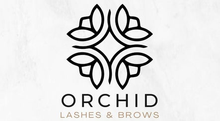 Orchid Lashes and Brows