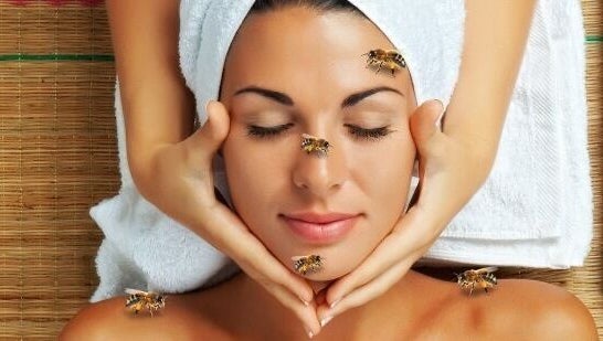 Relaxing bee therapy at Fabulash Brow and Aesthetics, Wrexham, Wales, GB, enhancing natural beauty.