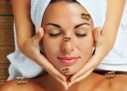 Relaxing bee therapy at Fabulash Brow and Aesthetics, Wrexham, Wales, GB, enhancing natural beauty.