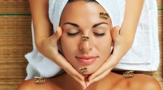 Relaxing bee therapy at Fabulash Brow and Aesthetics, Wrexham, Wales, GB, enhancing natural beauty.