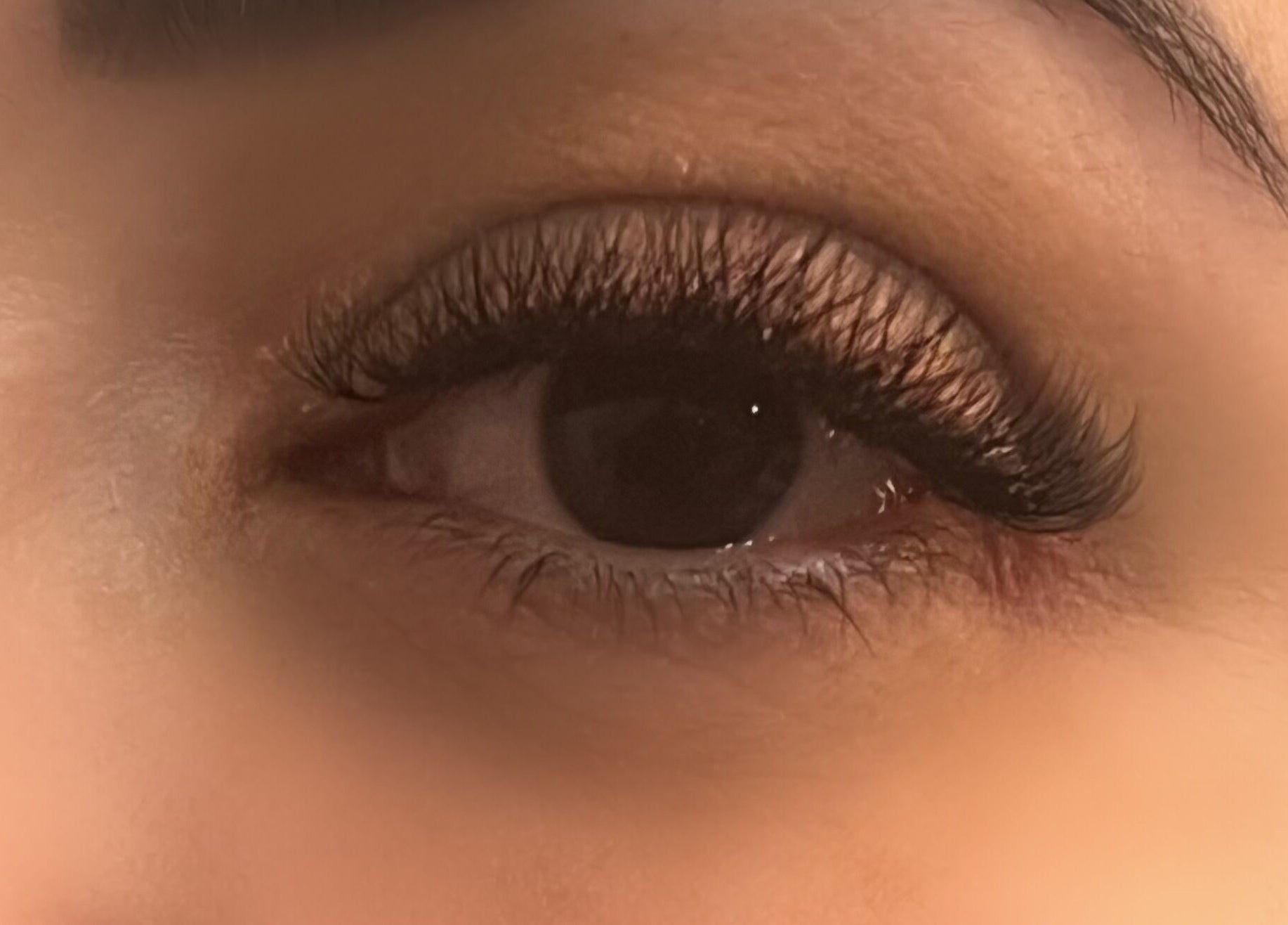 Close-up of expertly styled lashes at Isa Paula Lashes and Beauty in London, England, GB.