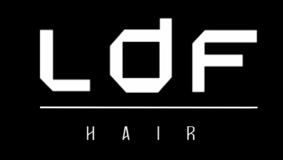 Ldf Hair Concept afbeelding 1