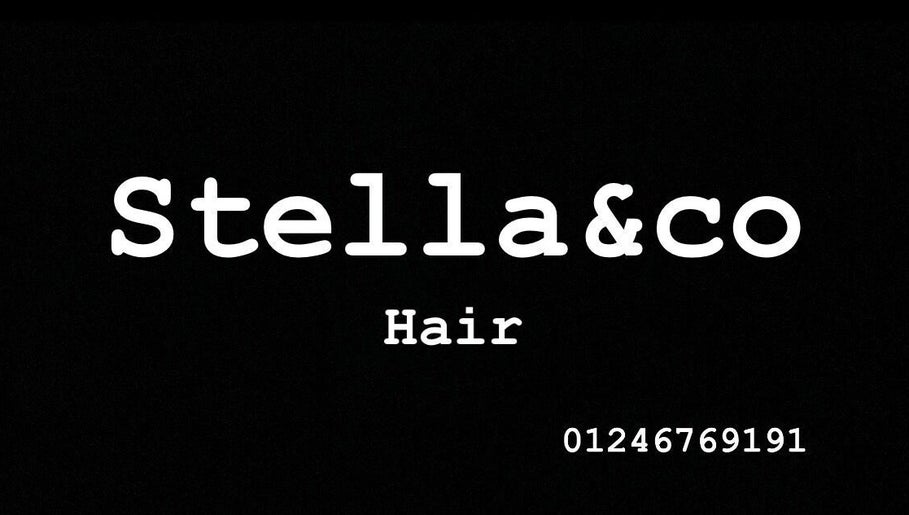 Stella & co hair image 1