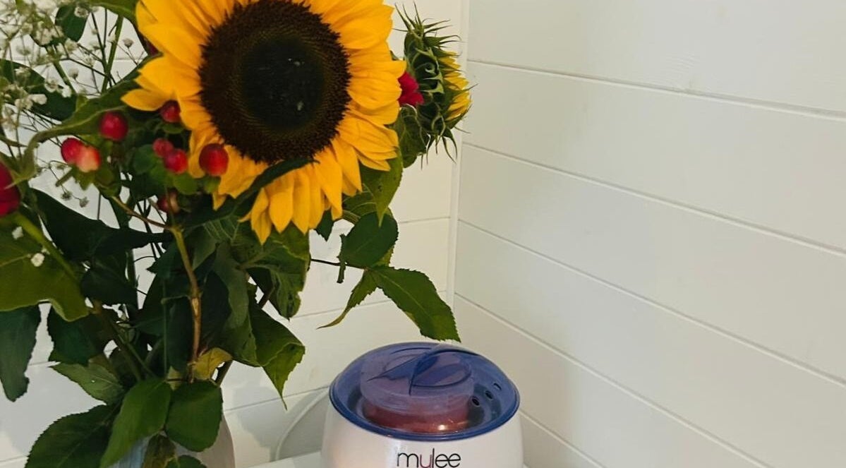 Vibrant sunflower display beside wax warmer at Blissful Touch, Bugle, England, GB.