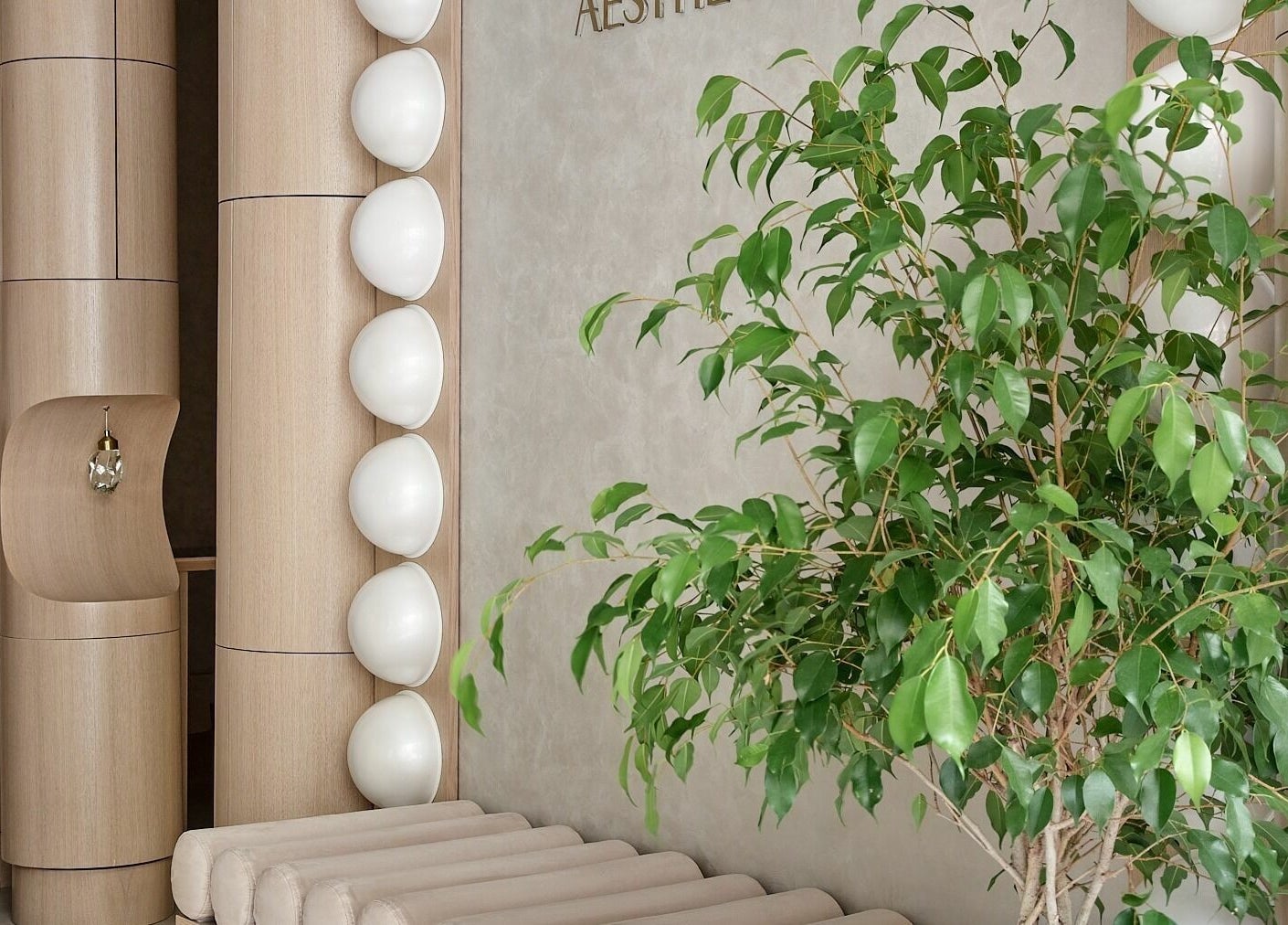 Elegant interior at Victoria Aesthetics in London, England, GB featuring plant and modern decor.