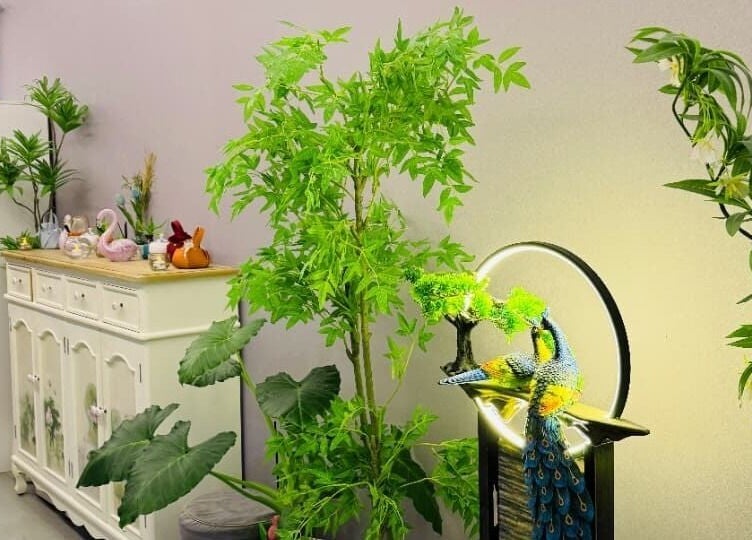 Essence Healing Spa L.L.C. (Branch) in Dubai, Dubai, AE features serene interior decor with green plants and elegant furnishings.