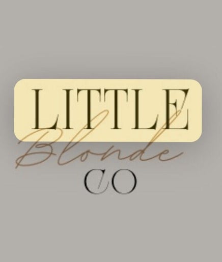 Littleblondeco image 2