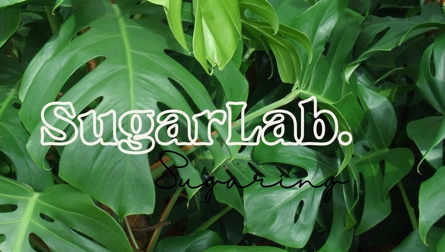 SugarLab obrázek 1