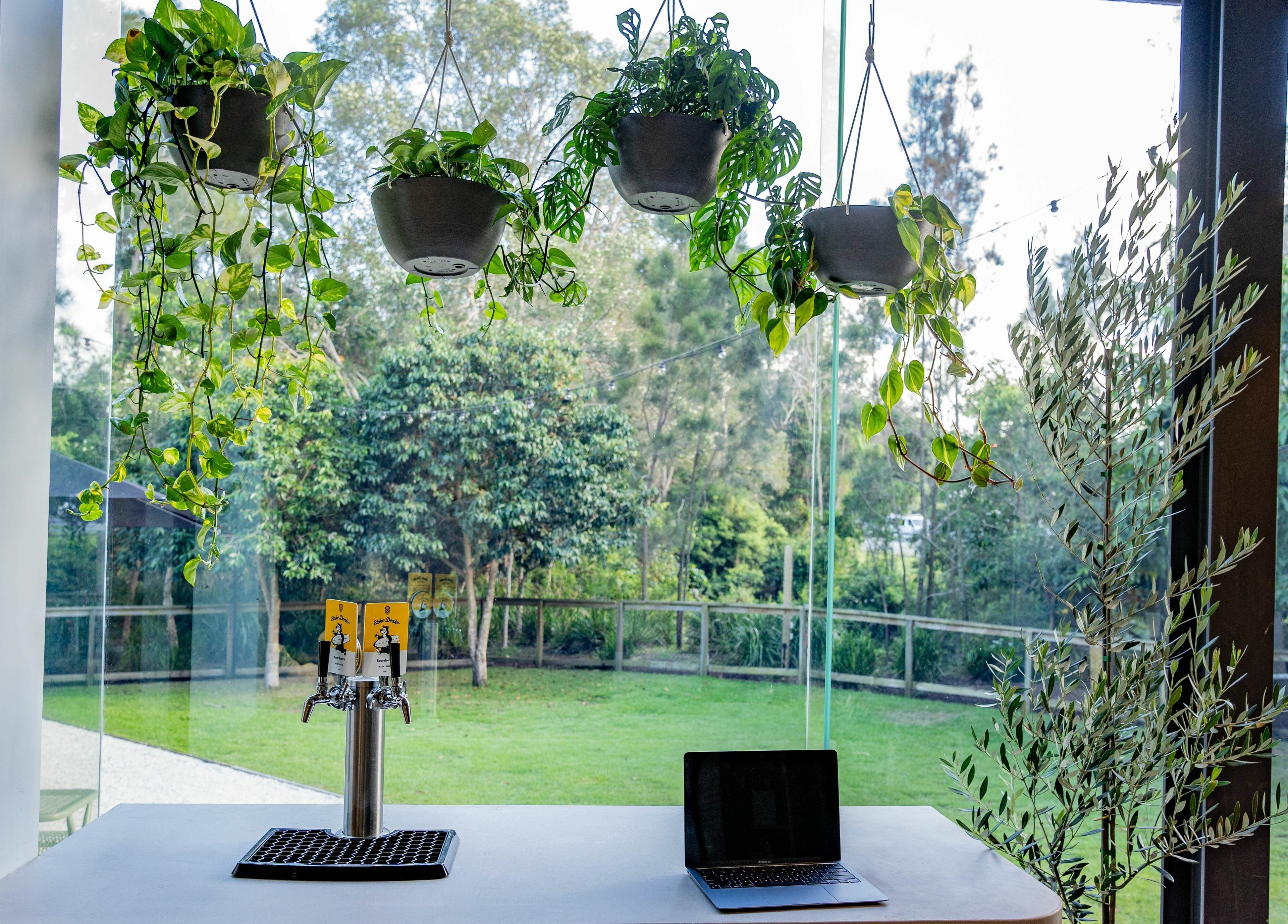 Lush greenery with hanging plants at Lost Boys Tugun, Tugun, Queensland, AU, offering a tranquil wellness vibe.