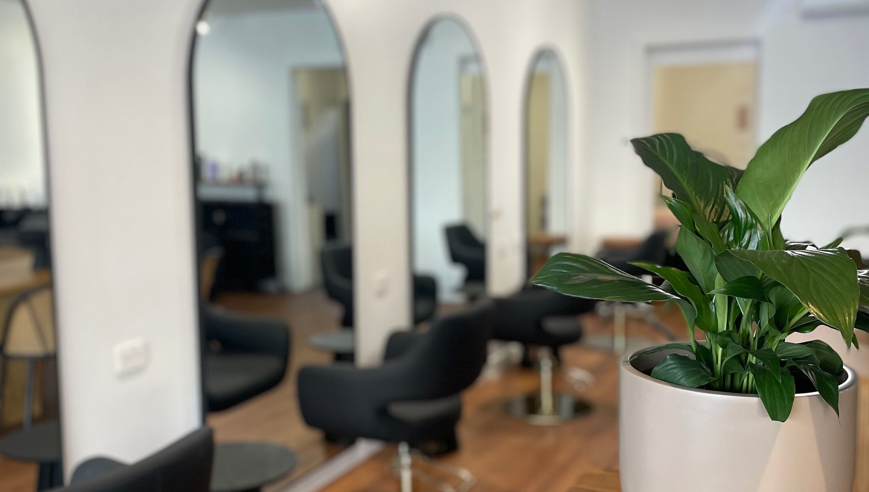 Modern salon interior at Refined Lash Lounge, Kyneton, Victoria, AU with stylish chairs and vibrant plants.