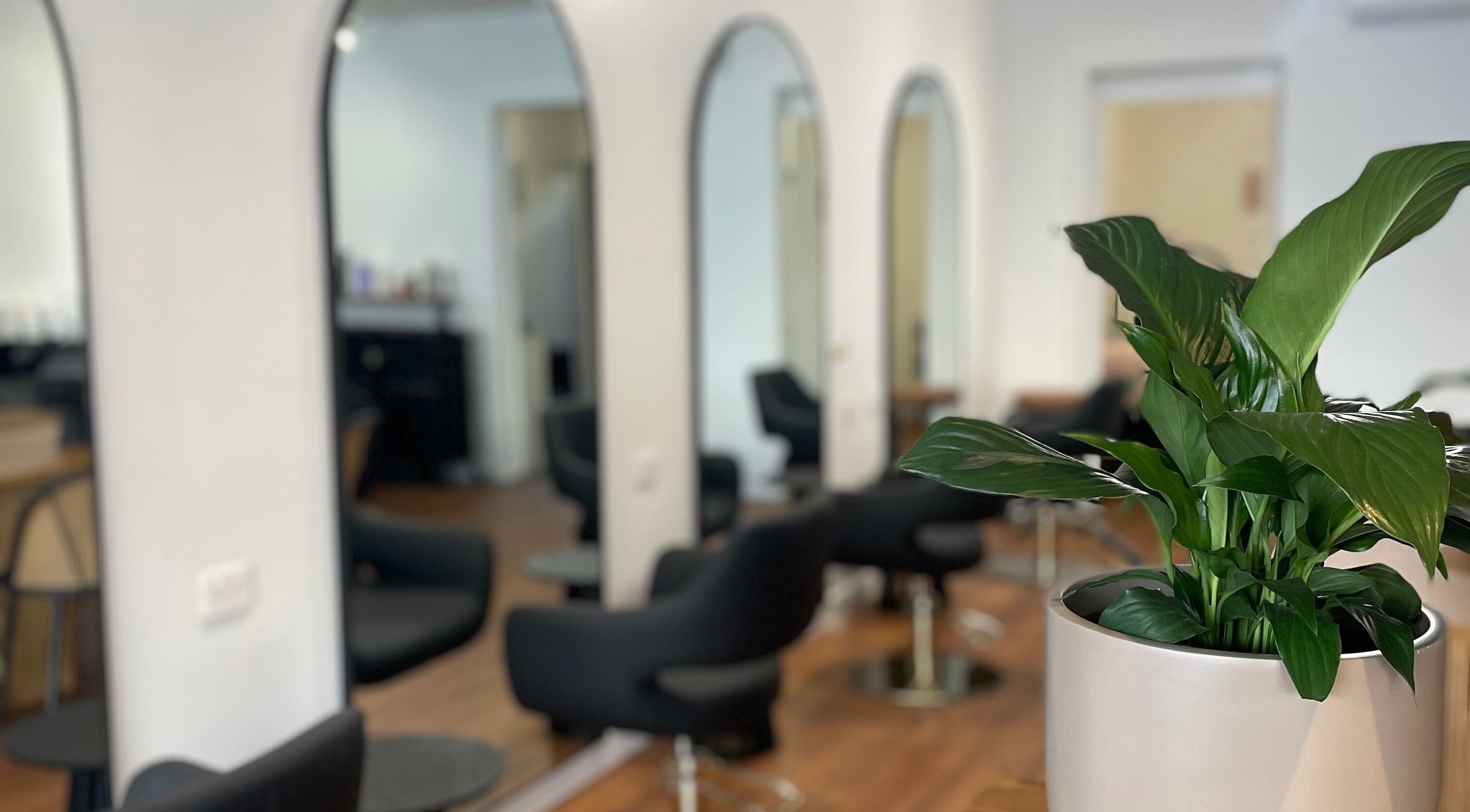 Modern salon interior at Refined Lash Lounge, Kyneton, Victoria, AU with stylish chairs and vibrant plants.
