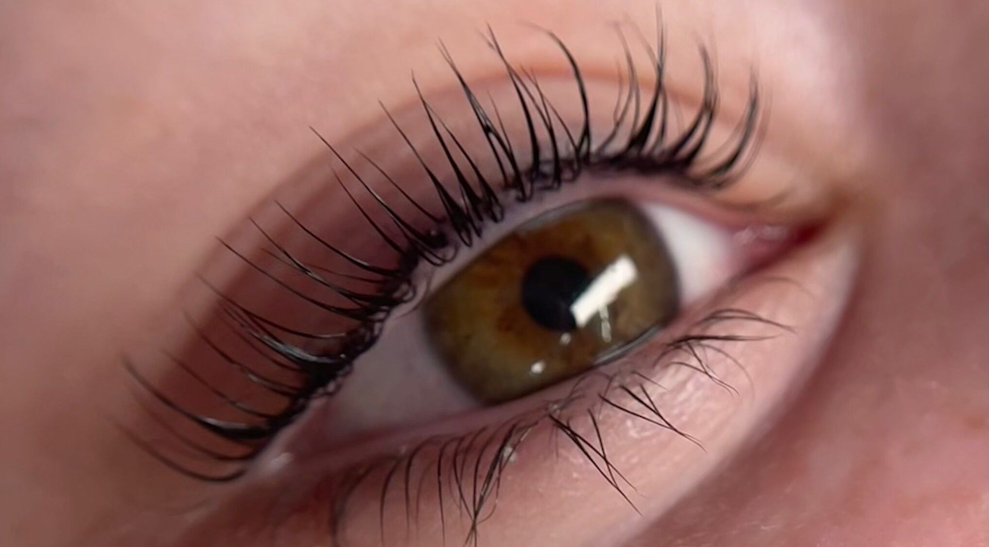 Closeup of lush lashes at Refined Lash Lounge, Kyneton, Victoria, AU showcasing eyelash extension detail.