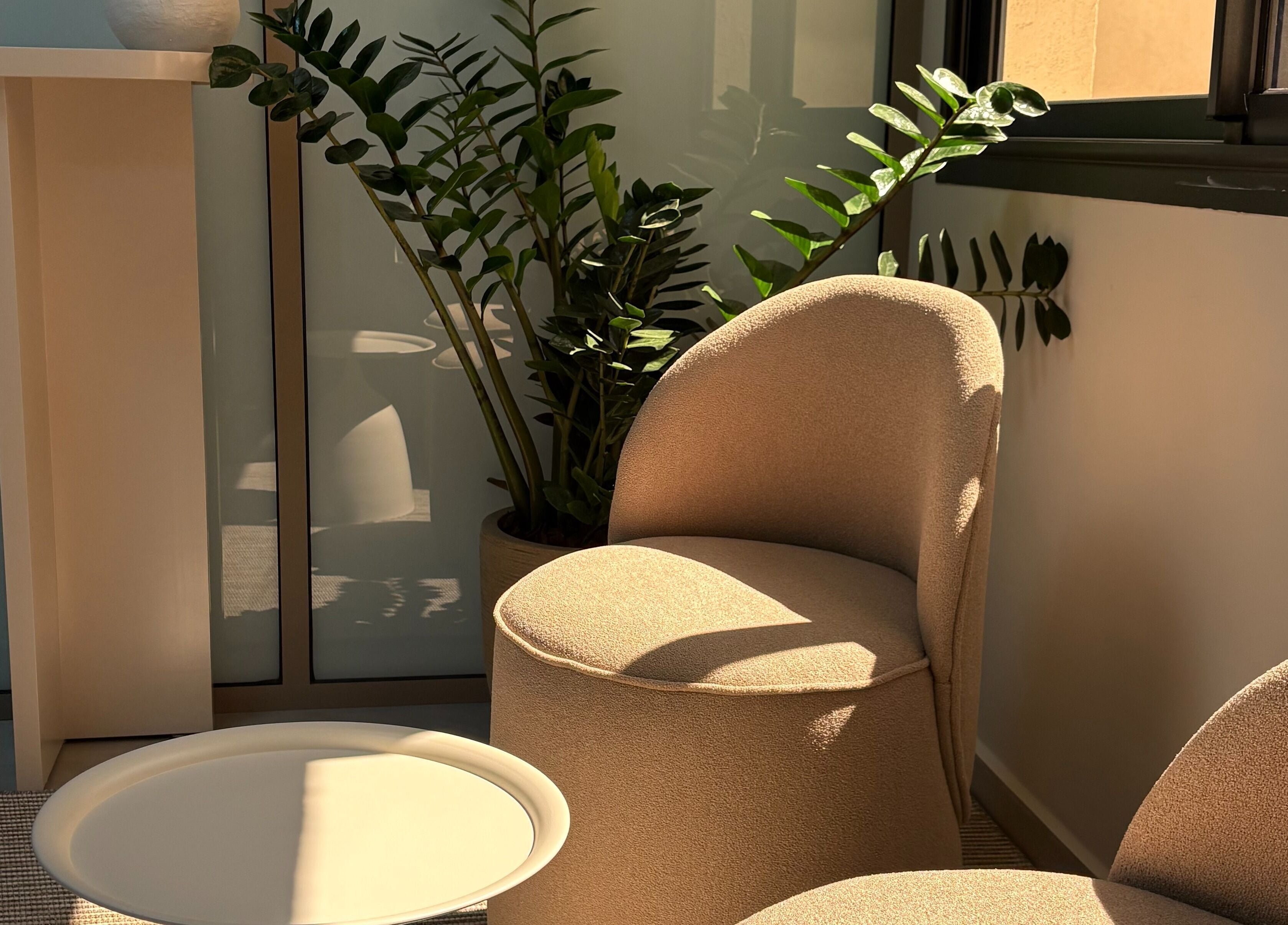 Salon ensoleillé au Jasmine Skin Clinic, El Jadida, Casablanca-settat, MA, avec chaises modernes et plantes.