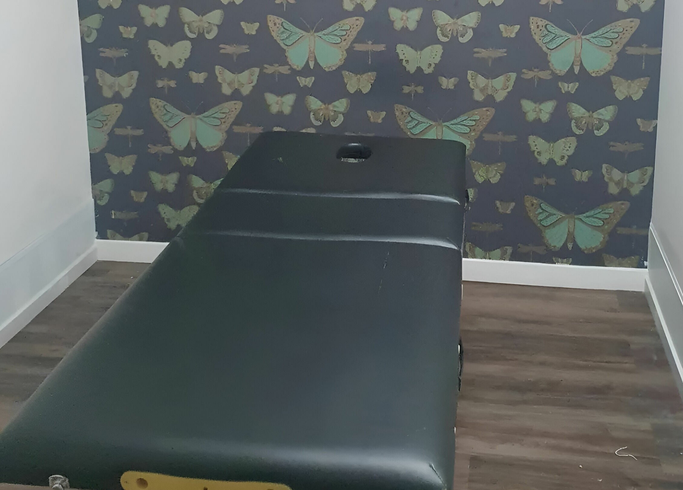 Therapy bed in INKredible Beauty N Laser, Melbourne, Victoria, AU, with butterfly-themed decor.