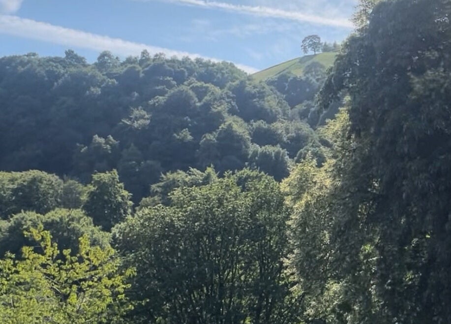 Scenic view of tree-covered hills at Heaven On T'hill in Todmorden, England, GB under a bright blue sky.