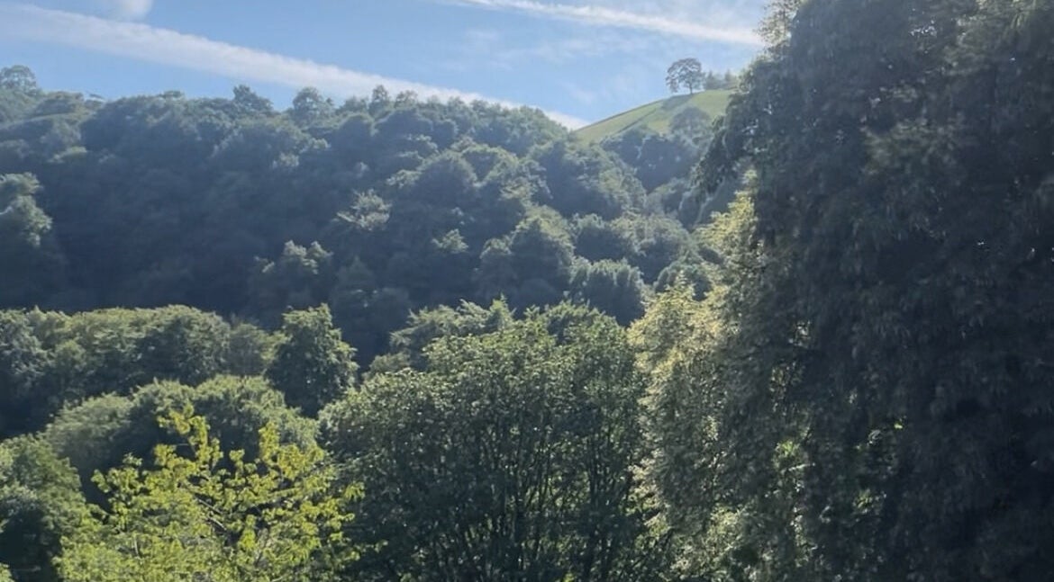 Scenic view of tree-covered hills at Heaven On T'hill in Todmorden, England, GB under a bright blue sky.