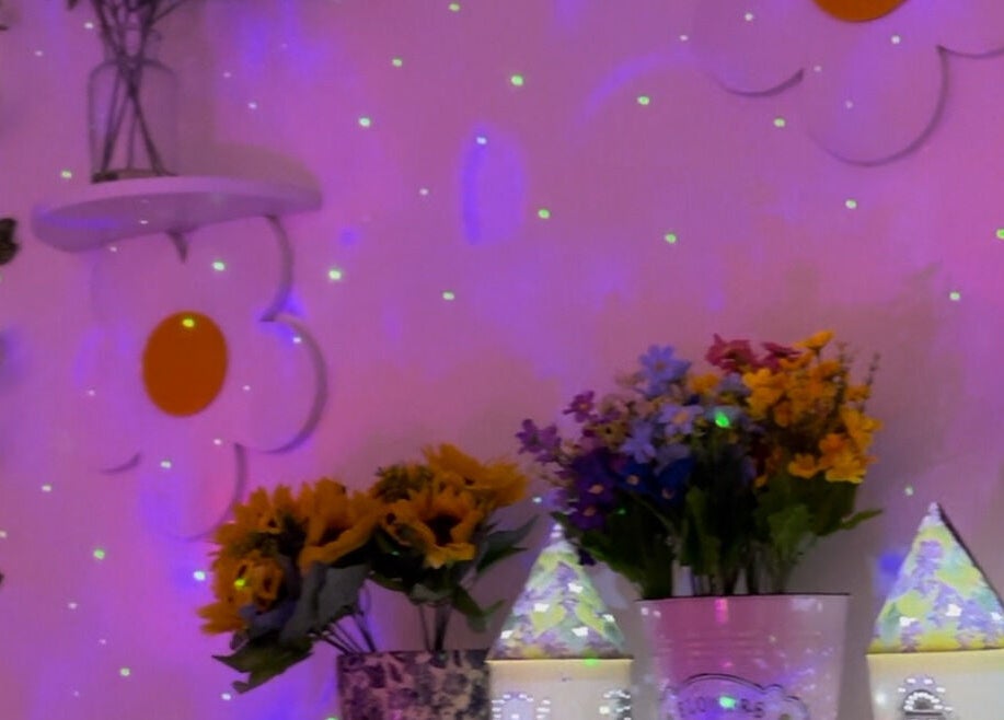 Vibrant flowers under soft lights at Heaven On T'hill, Todmorden, England, GB.