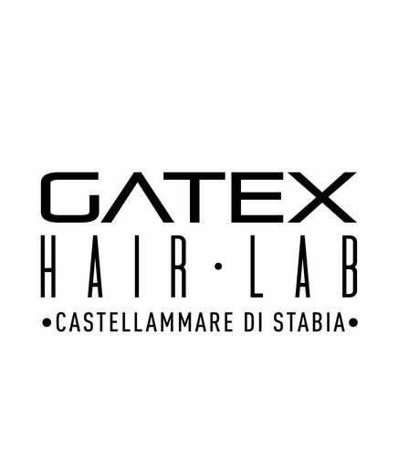 GATEX HAIR • LAB billede 2