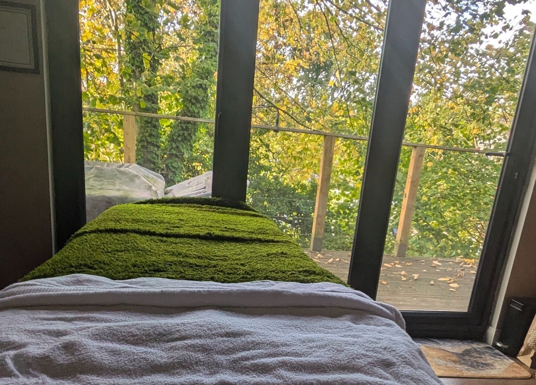 Relaxing spa bed with lush green view at Sakura Wellness Institute, Audley, England, GB.