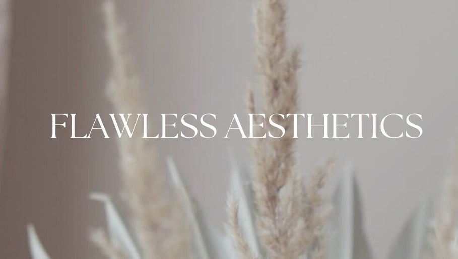 Flawless Aesthetics зображення 1