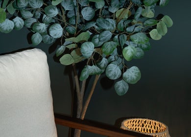 Coin détente chez Bambou Massage à Uccle, Bruxelles, BE avec coussin et plante verte.